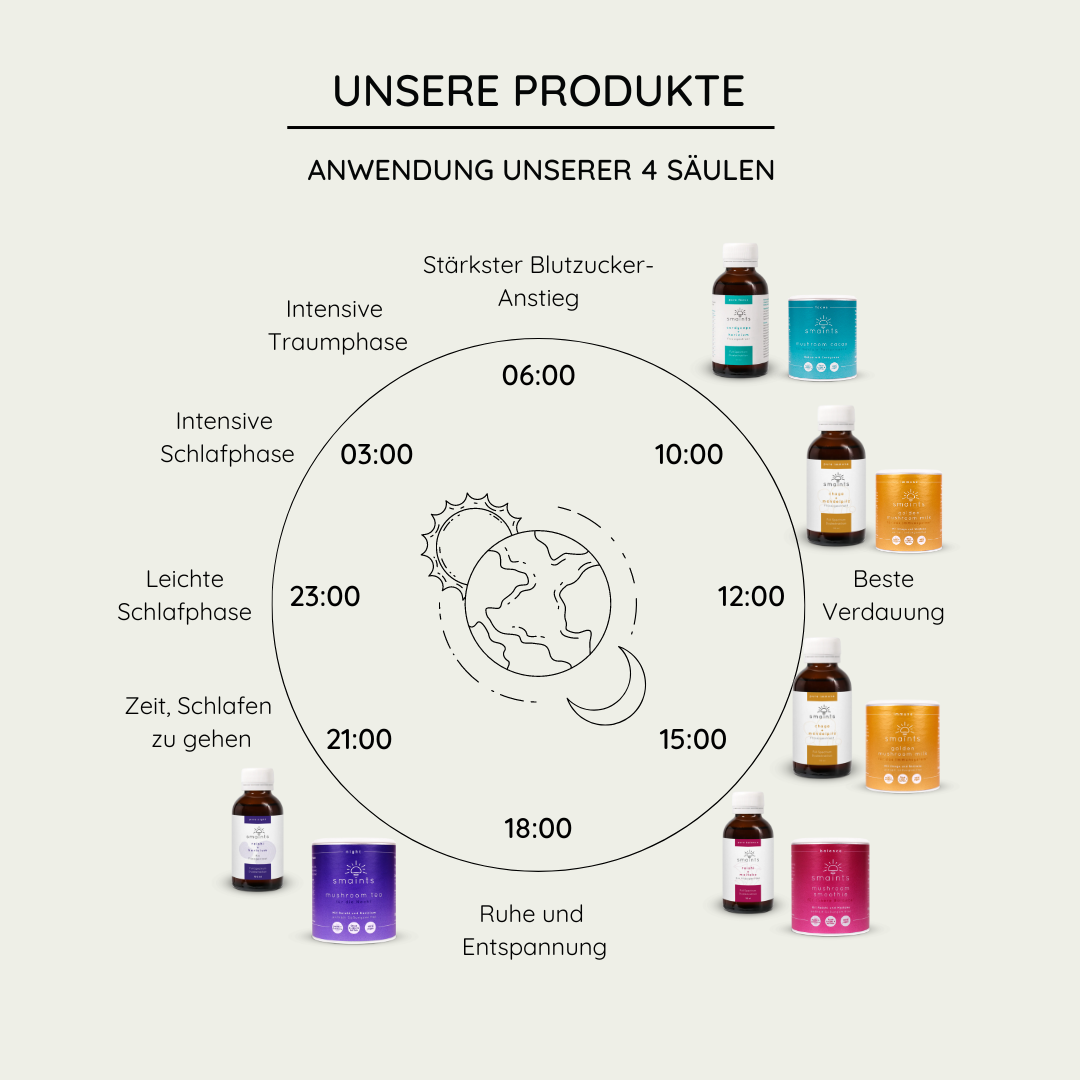 4 Säulen Anwendung.png